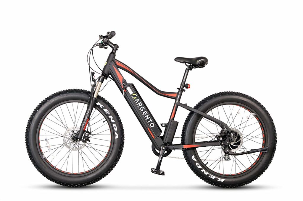 fat bike elettrica